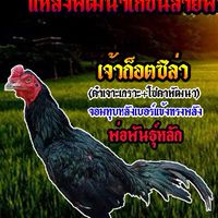 เพชรโฉงเฉง