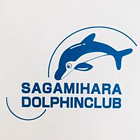 相模原ドルフィンクラブ