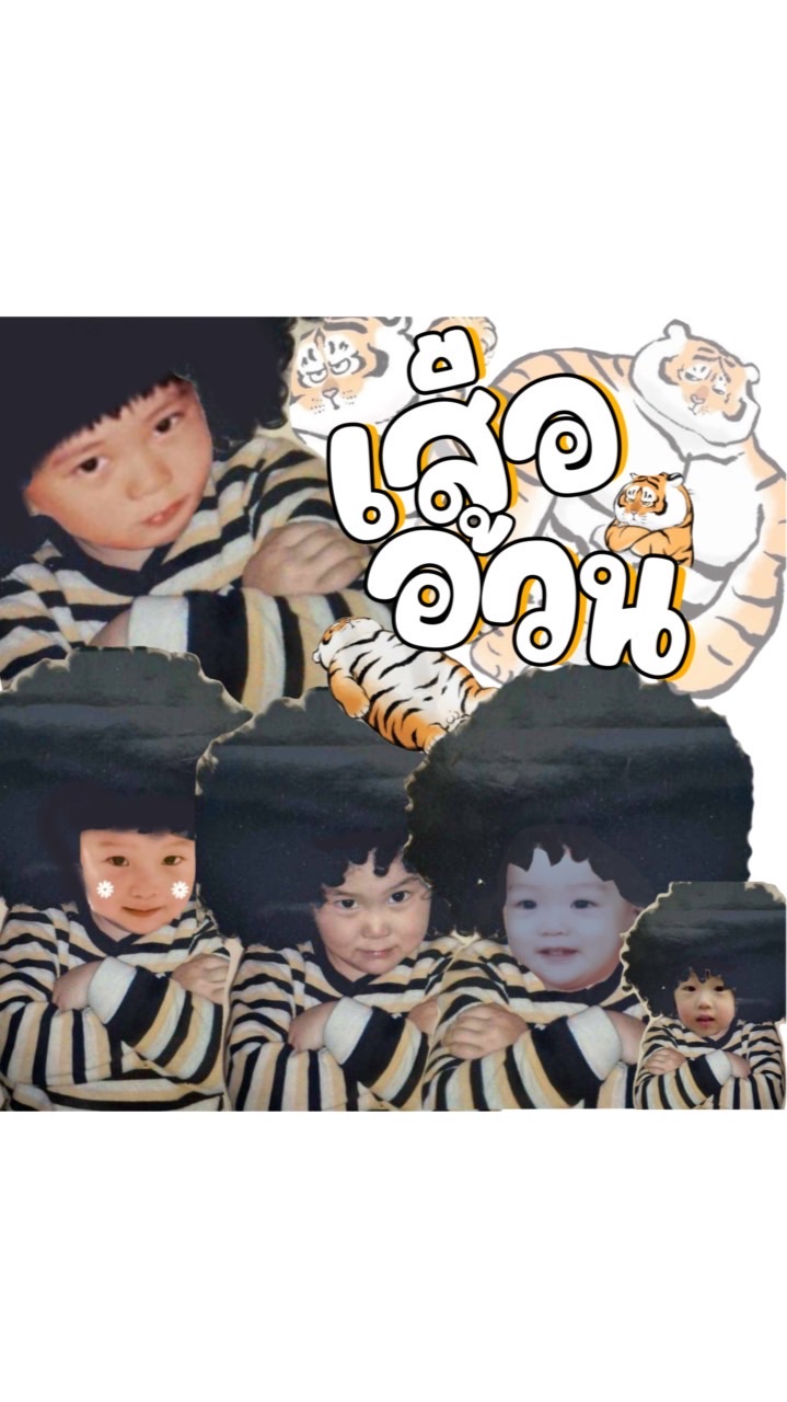 เสืออ้วนแก๊ง