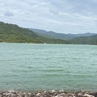 女子/車泊/車宿/露營自由行🚍🏕️⛺️
