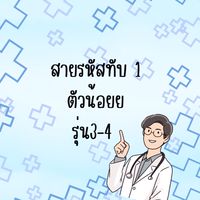สายรหัสทับ 1 ตัวน้อยย 3-4