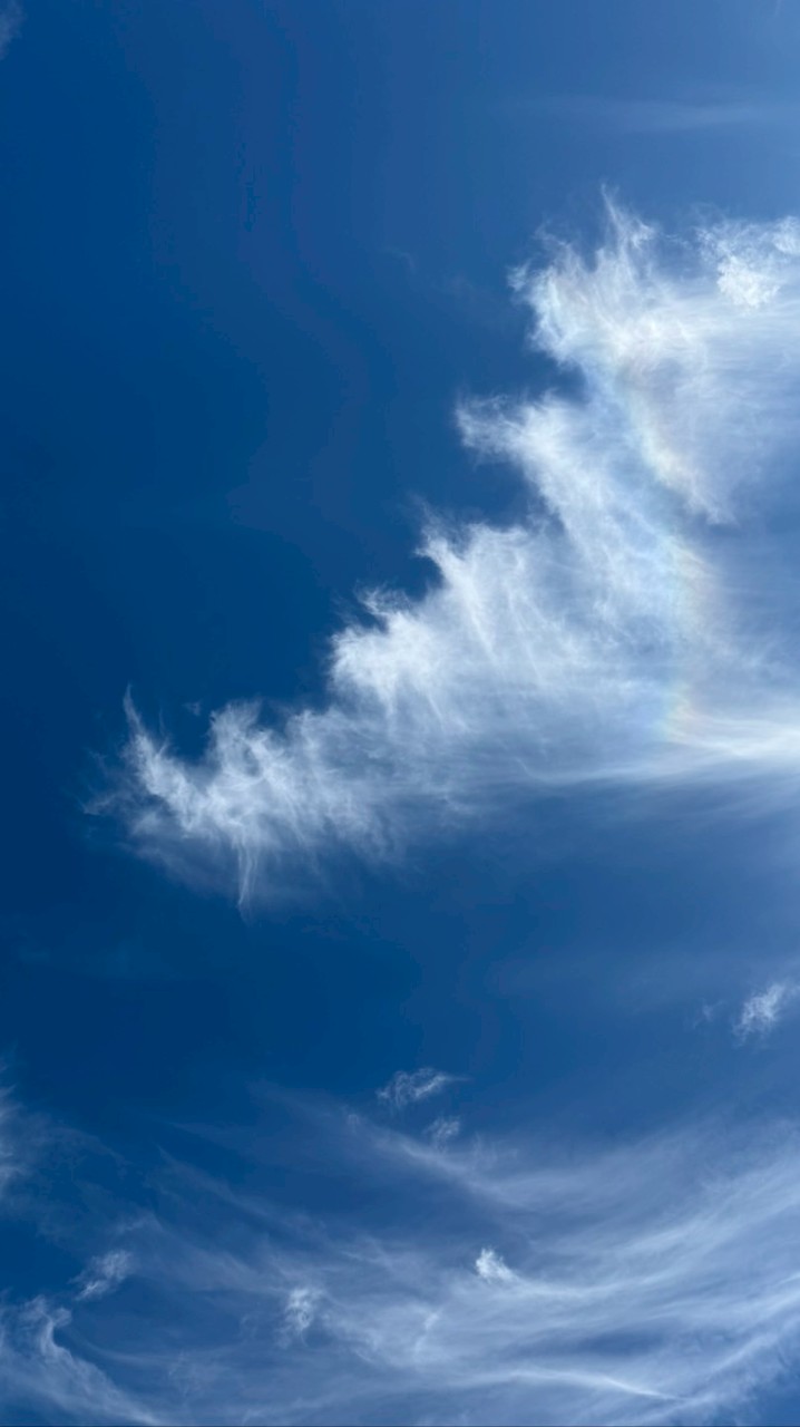 eri🕊️🫧LIVE告知専用チャット