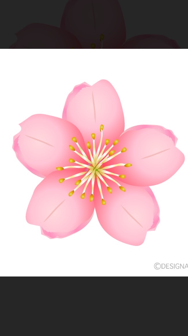 🌸良く咲く家族の子育て応援隊🌸