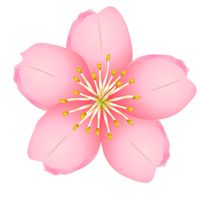 🌸良く咲く家族の子育て応援隊🌸