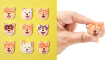 你捨得吃嗎？日本推出超萌「柴犬笑顏棉花糖」 引發所有柴犬控們的暴動啦！