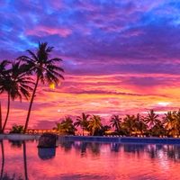 🐬🏖大人たちの雑談アイランド🌺
