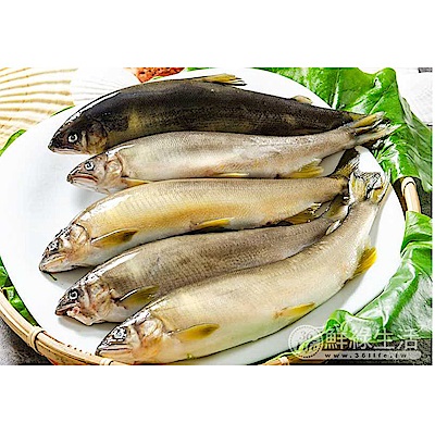 (滿額) 鮮綠生活家_絕對爆卵有蛋超大香魚(920g±5g/盒)