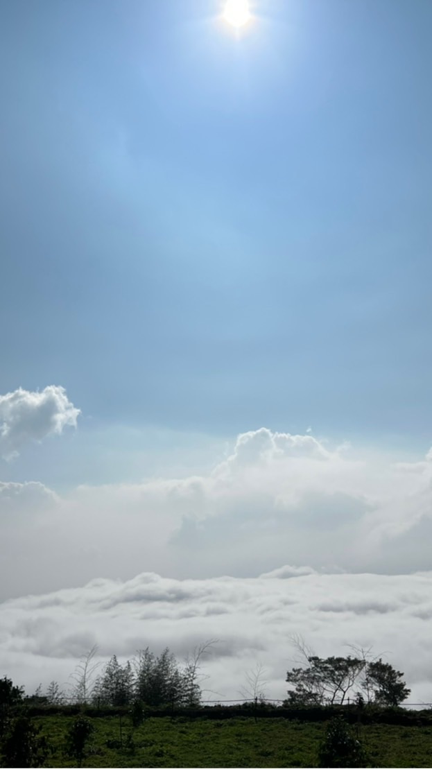 心靈の聚集地🎀