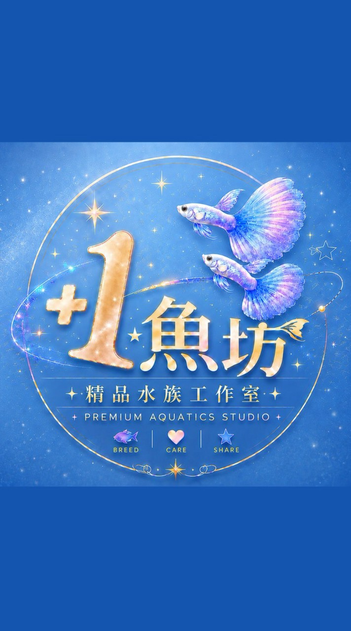 🔥 +1☆魚坊 🐠 精品水族工作室🐠