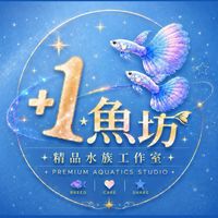 🔥 +1☆魚坊 🐠 精品水族工作室🐠