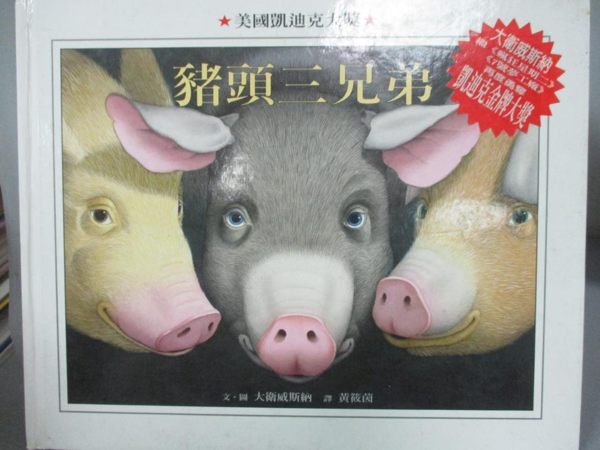 【書寶二手書T1／少年童書_WGS】豬頭三兄弟_黃筱茵, 大衛.威