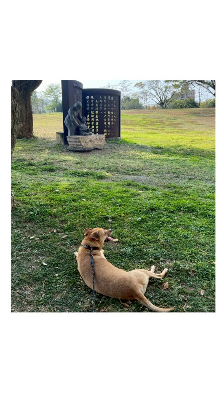 🦴言午小澤🐾記錄“☺︎✌︎ •散落的片段🐕