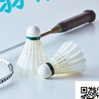 羽眾不同-週日10-12   鶯歌運動中心臨打