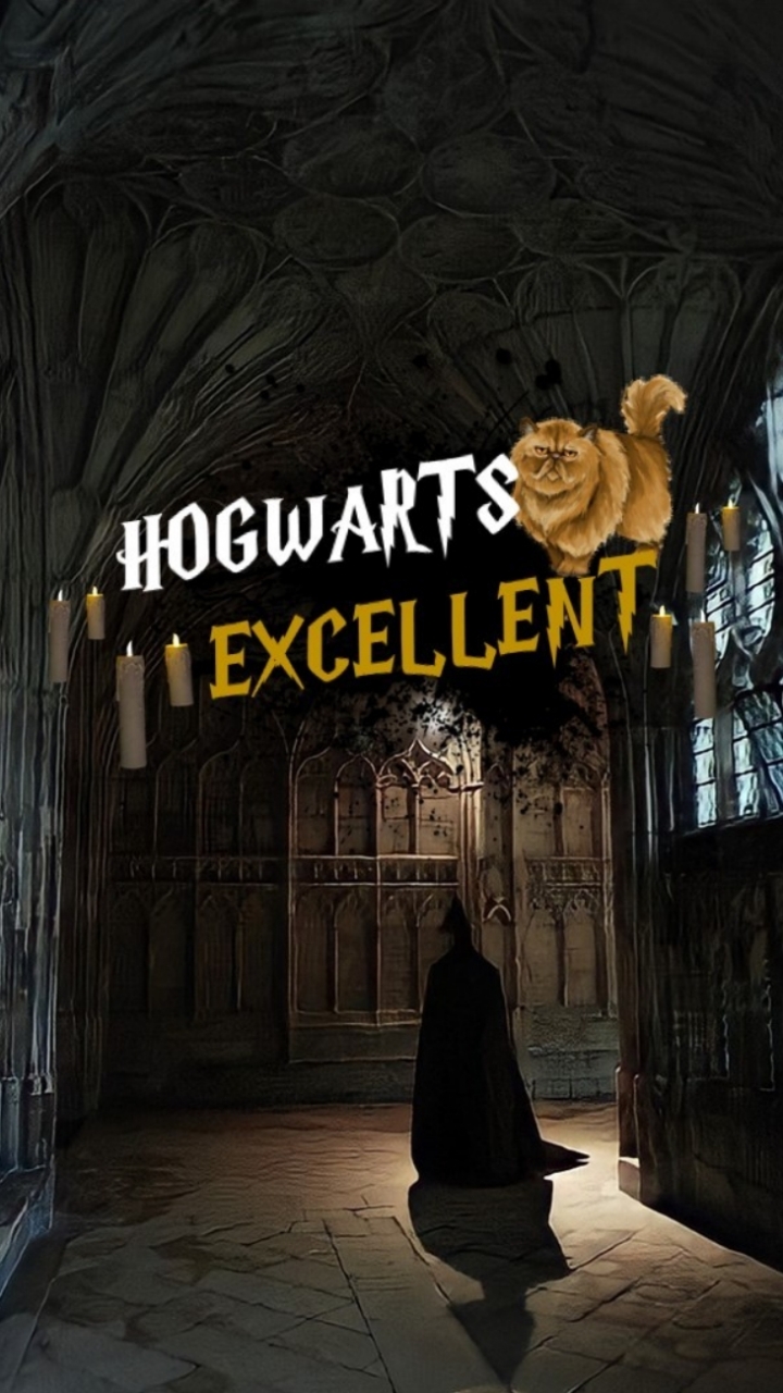 OpenChat HOGWARTS EXCELLENT 🎇