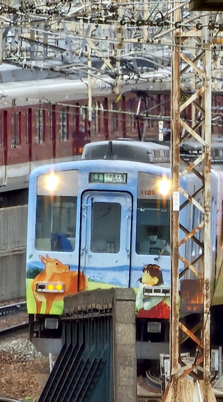 (っ'ヮ'c)わぁだった広場