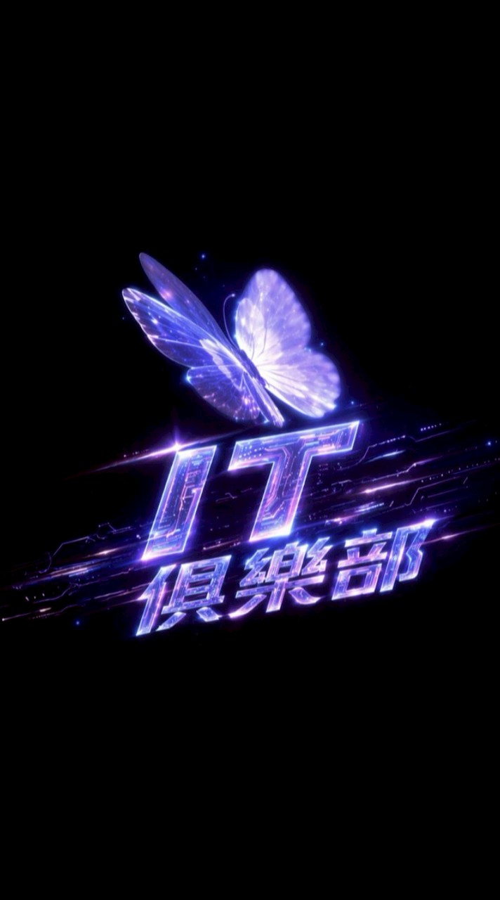 IT丶打手陪玩派單群（禁閒聊