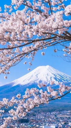 山山媽結單賺大錢囉