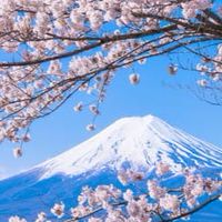 山山媽結單賺大錢囉