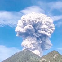 ✅🦘府城大台南聊天聊地群（不聊政治）