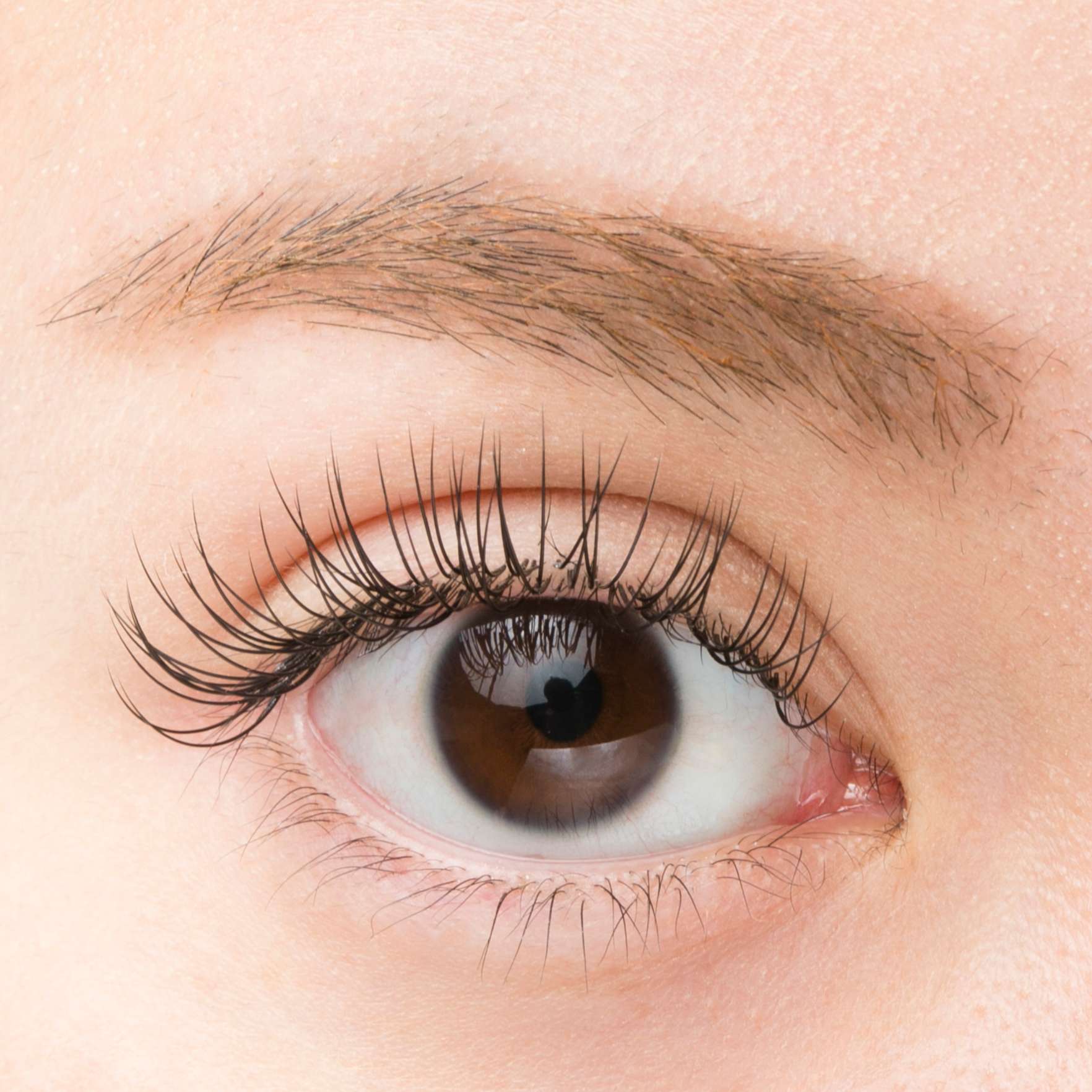 プラスアイ池袋東口店 Line Official Account