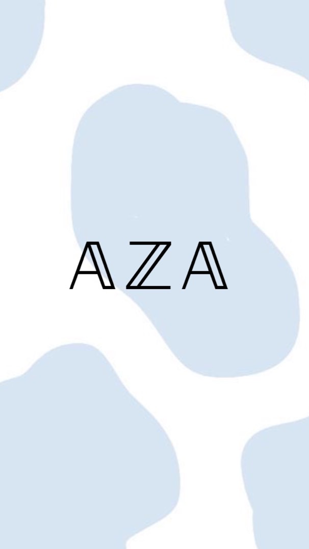 ออดิชั่น AZA_Groupシ