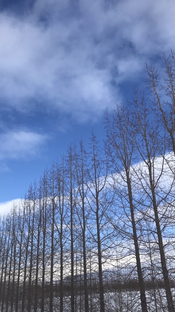 韓萱紫微斗數｜線上一班