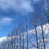 韓萱紫微斗數｜線上一班