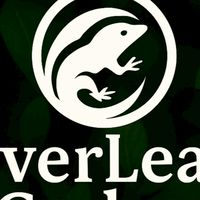 Everleaf爬寵好物
