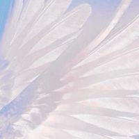 杖劍飄雪絨絨