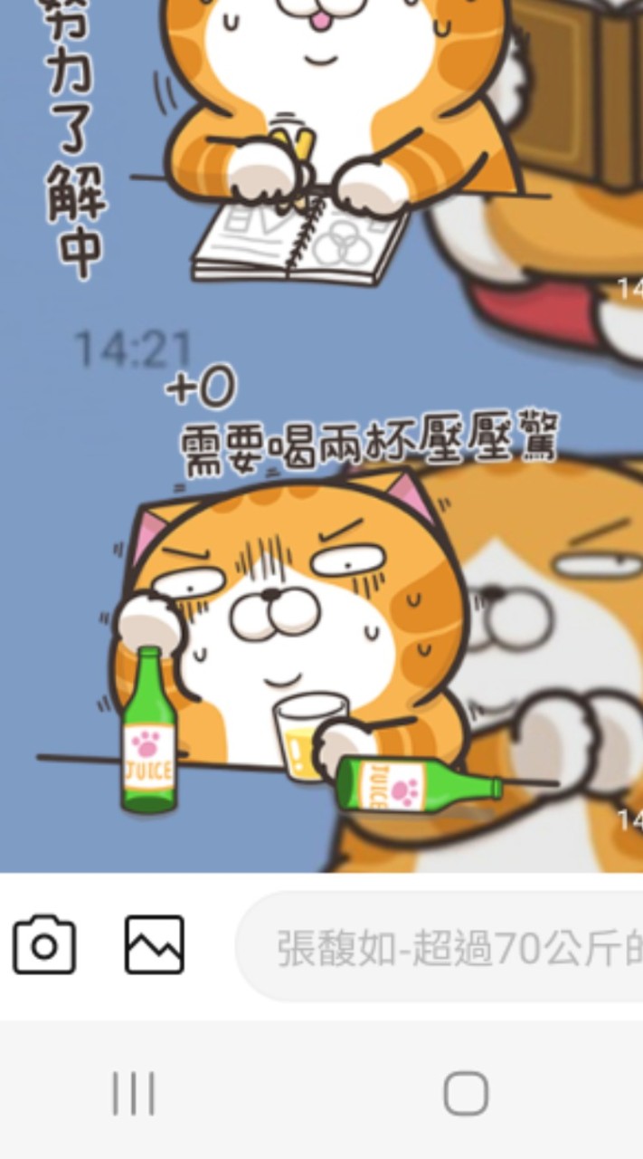 白爛貓救世界，吵架走這邊