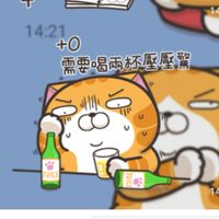 白爛貓救世界，吵架走這邊