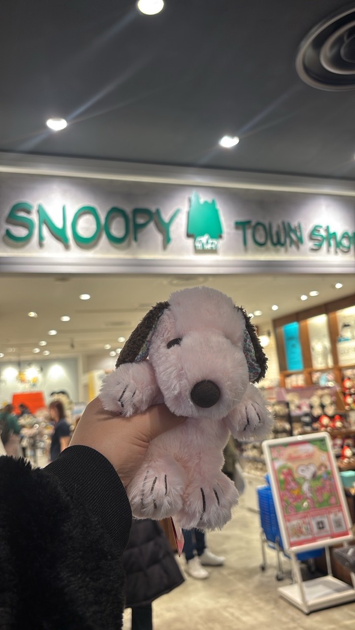 Snoopy小天地