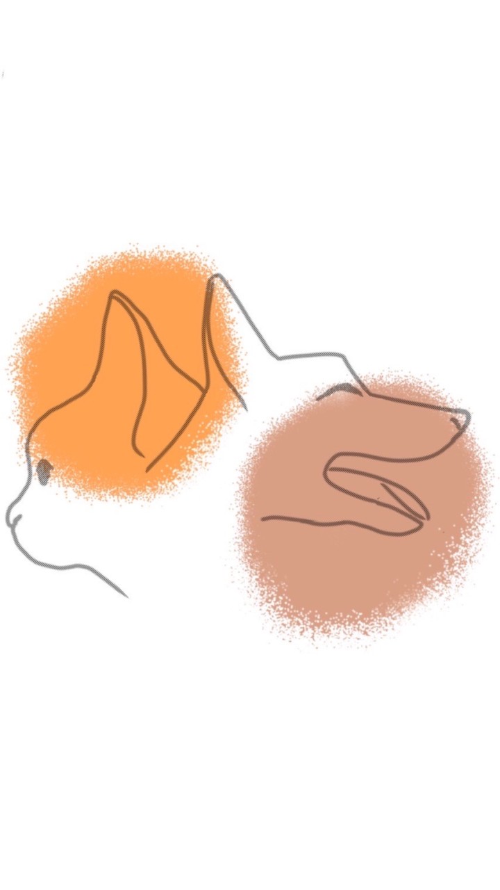 毛孩夢想屋🐱🐶