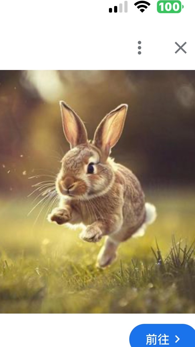 和徐棟英教練一起超慢跑