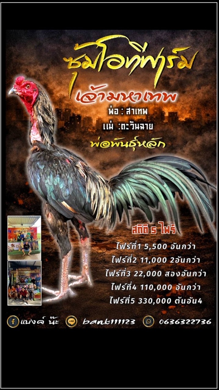 ซุ้มโอทีฟาร์ม