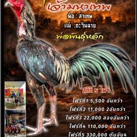 ซุ้มโอทีฟาร์ม