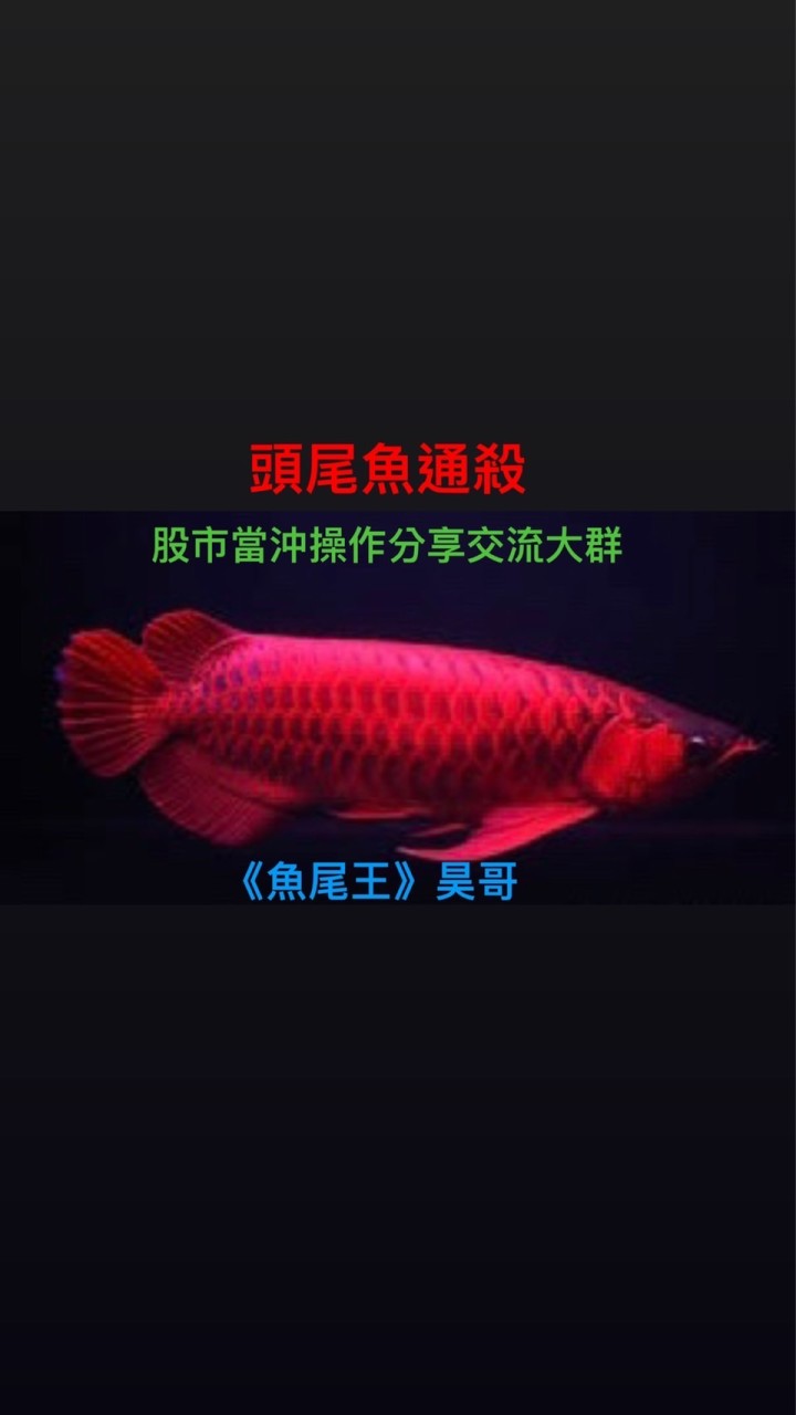 股市《魚尾王》昊哥 當沖波段技術分析大群