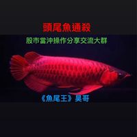 《魚尾王》昊哥 股市當沖波段技術分析大群