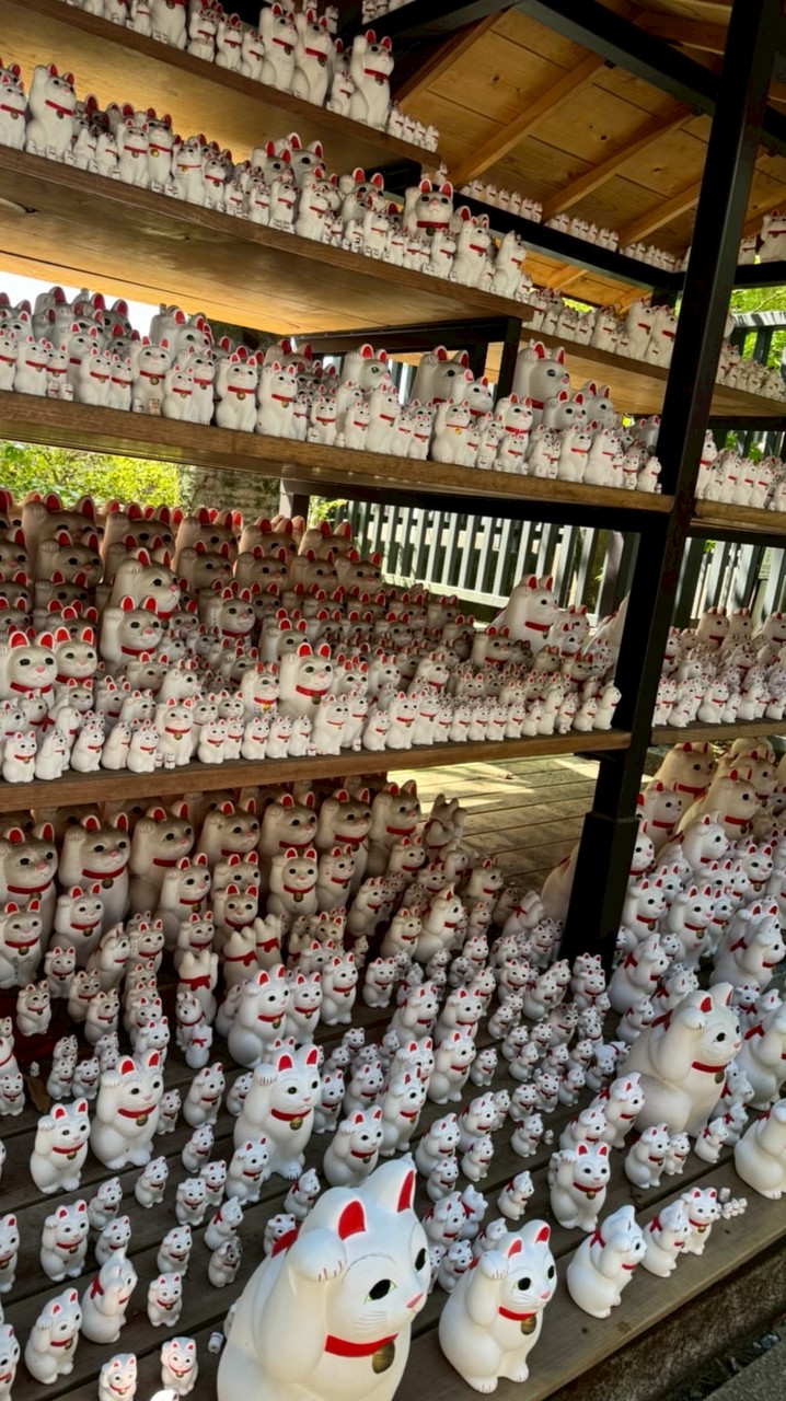 「🇯🇵ZeNIng日本直送代購｜零食・藥妝・精品・母嬰」