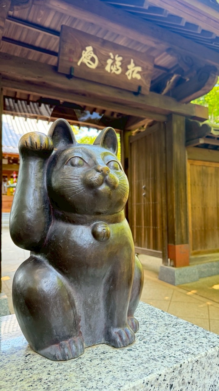 「🇯🇵ZeNIng日本母嬰直送代購｜母嬰・藥妝・零食」