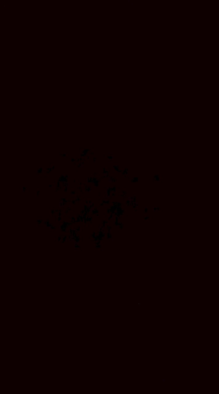 YT戰隊