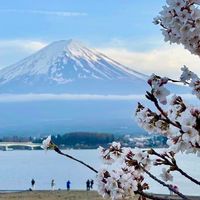 ญี่ปุ่น🇯🇵