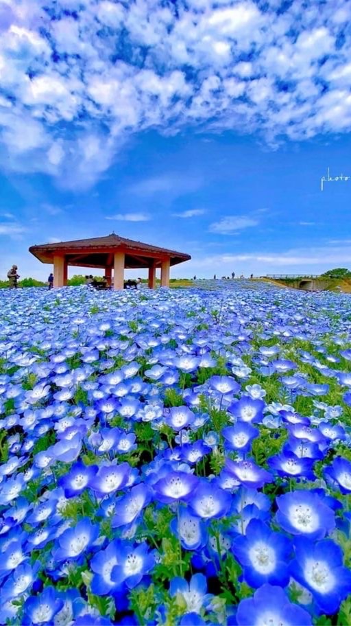 🌈おでかけ・おうち🏡時間を楽しも〜ᕷ*.°