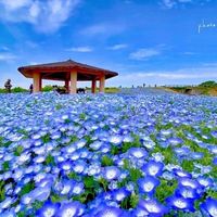 🌈おでかけ・おうち🏡時間を楽しも〜ᕷ*.°