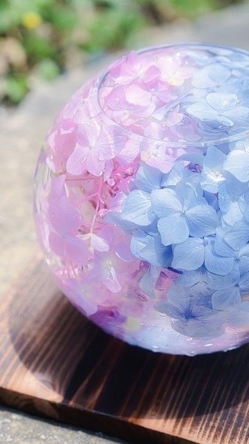 🌈おでかけ・おうち🏡時間を楽しも〜ᕷ*.°