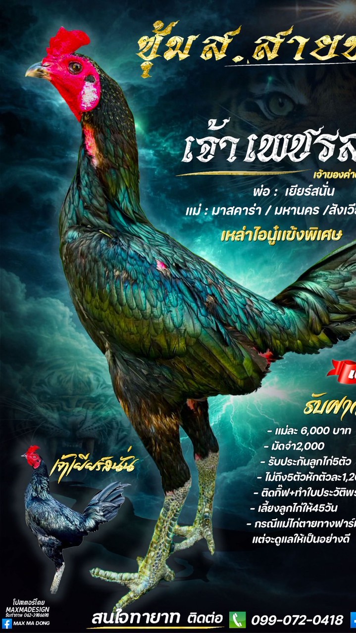 ซุ้ม ส.สายทอง