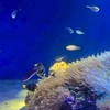 中・高生あつまれー！みんなで雑談・恋バナしよう！