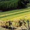 京都ゆうこく連合
