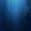 全也｜深海を泳ぐ
