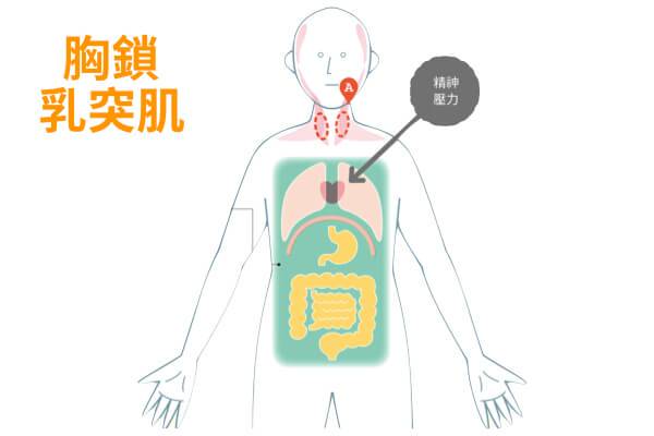 操勞事越積越多令人頭痛不已 按摩頸部這地方有助改善 Heho健康 Line Today